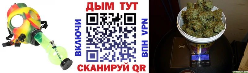 Бошки марихуана VHQ  Купить закладки  Бородино 